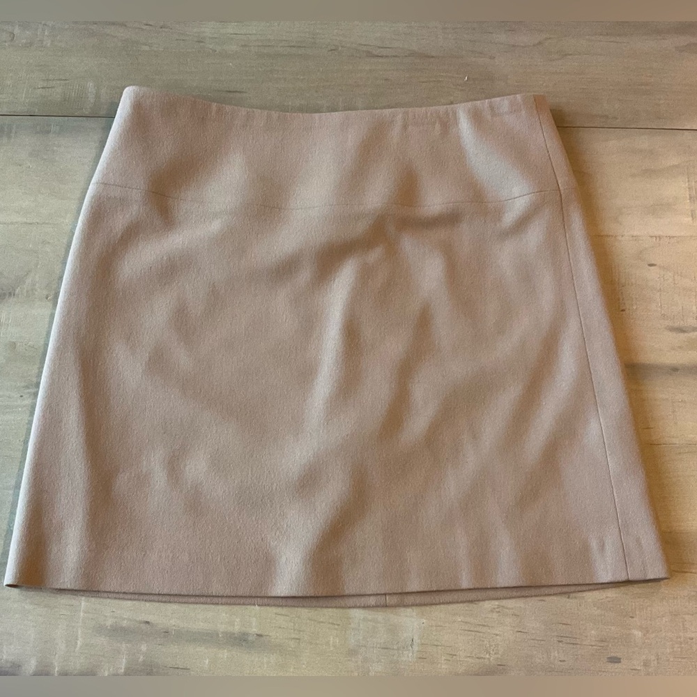 Banana Republic Blush Pink Mini Skirt